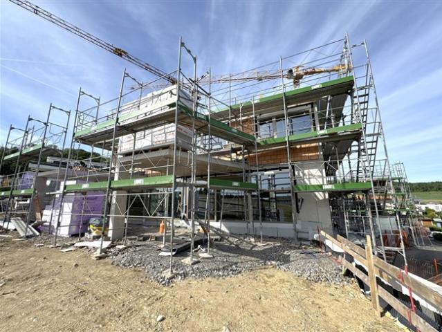 Neubau Einfamilienhaus modern und mit eigener Photovoltaikanlage