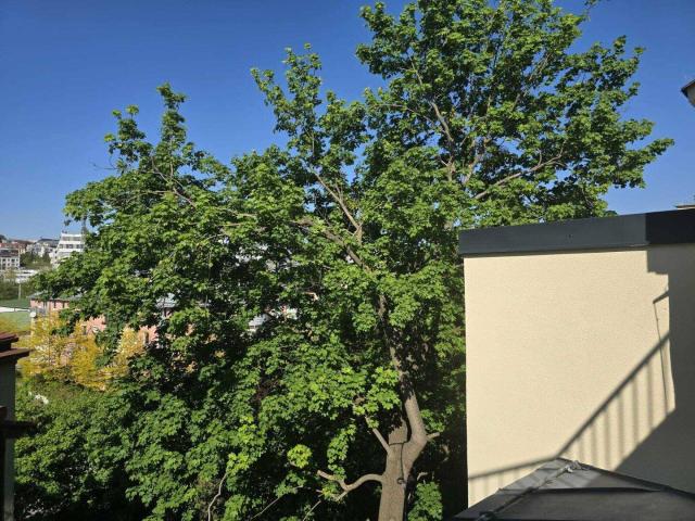 NEUBAU+ Erstbezug + Charmante Dachgeschosswohnung + + Unter Sankt Veit U BAHN +