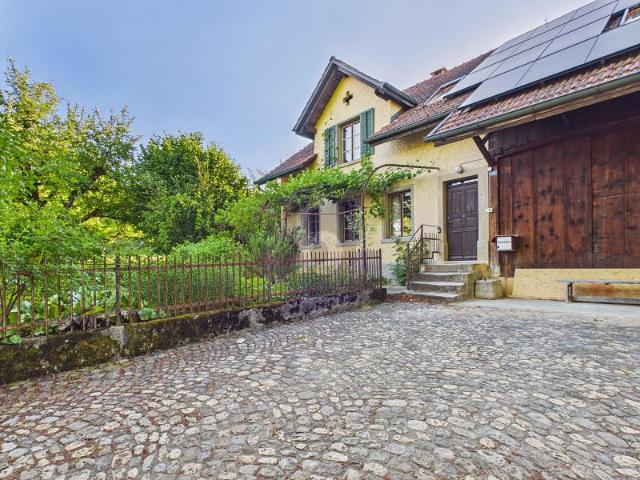 NEUBAU STANDARD, HISTORISCHES GEBÄUDE, GARTEN