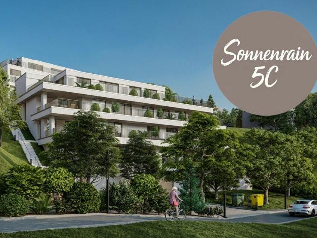 Neubau Terrassenwohnungen Döttingen 5C