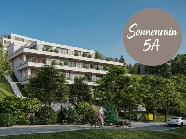 Neubau Terrassenwohnungen Döttingen 5A