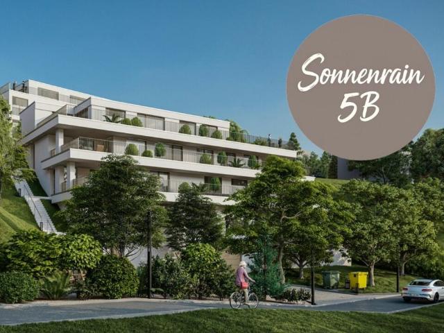 Neubau Terrassenwohnungen Döttingen 5B