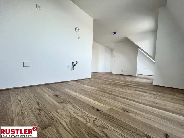 Neubauprojekt CALVI | 1,5 Zimmer Terrassenwohnung im Dachgeschoß in ruhiger Grünlage