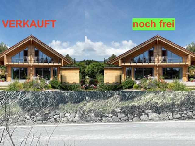 Neubauprojekt: Einfamilienhaus 5.5 Zimmer
