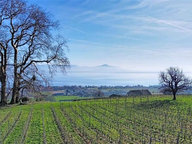 Neue außergewöhnliche Villa 360 m² Licht und Prestige mit Blick auf den Genfersee