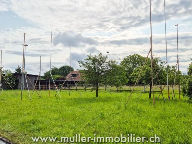 Neue Doppelhaushälfte mit Garten in den Höhen von Payerne