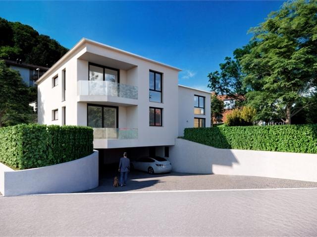 Neue Immobilie in Collina d’Oro Eine Villa mit Swimmingpool und zwei Wohnungen