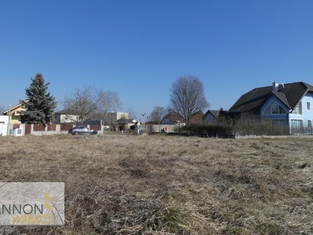 NEUE SIEDLUNG RUHIGE SACKGASSE NATURNAH