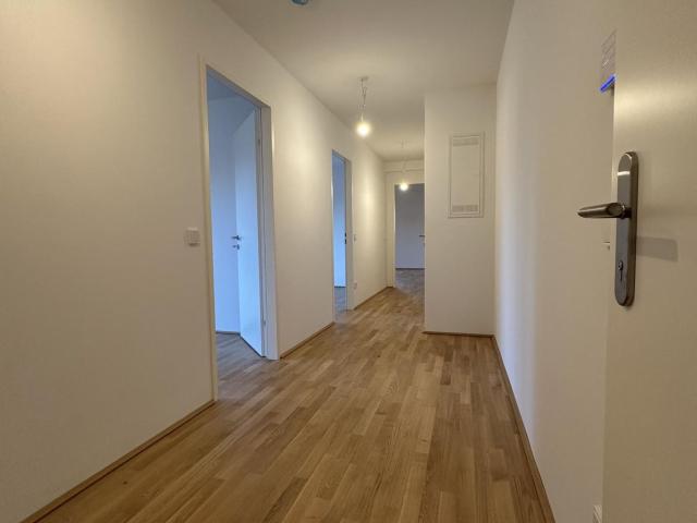 NEUE 3 ZIMMERWOHNUNG MIT GARTEN IM ZENTRUM
