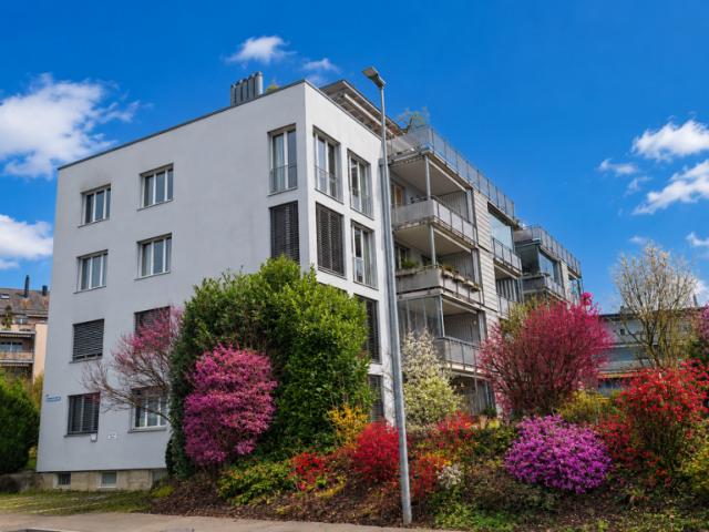 Neue 5.5 Zimmer Eigentumswohnung nahe See & Altstadt in Murten