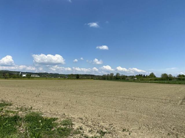 Neues DEFH angrenzend an Landwirtschaftszone Haus B | dreamo. Ch