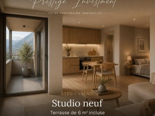 NEUES EINZIMMERAPARTMENT IN STEG VS – AB CHF 161.000