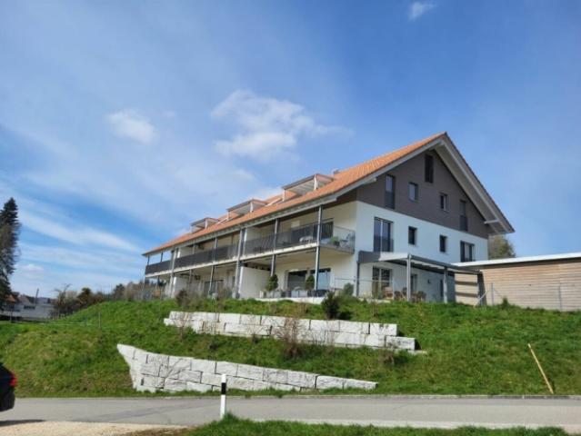 Helle 2.5 Zimmerwohnung mit grosszügiger gedeckter Terrasse