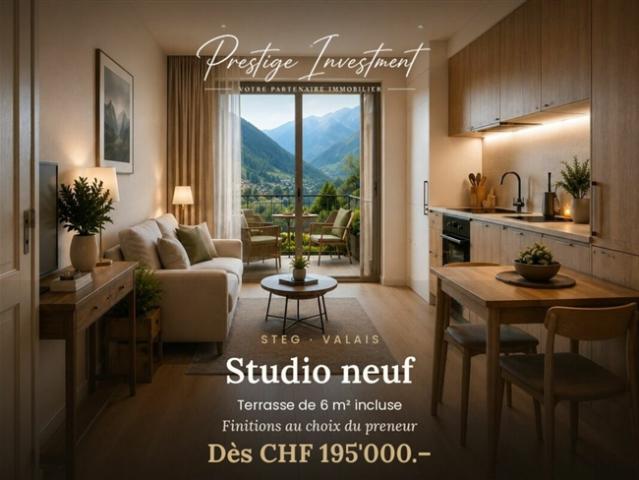 NEUES STUDIO IN STEG VS – AB CHF 195.000