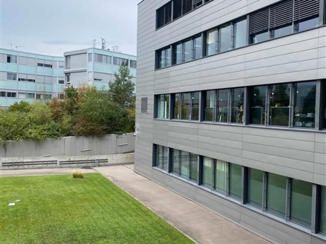 Neuestes Bürogebäude mit 230 m², vollständig ausgestattet