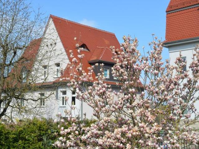 Neuer Start in Meiningen gefällig?