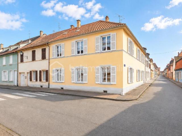 Neuf Brisach Vente Immeuble 68