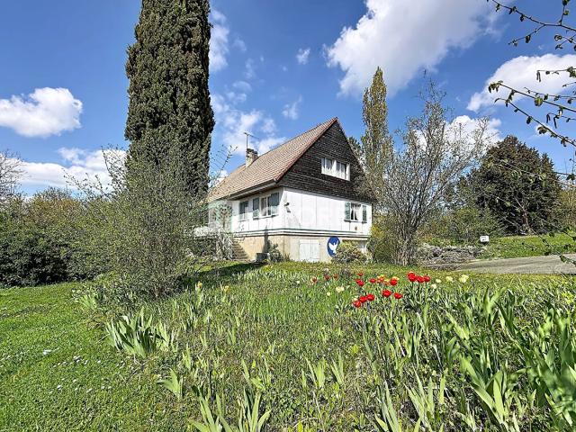 Neufchâteau Vente Maison 88