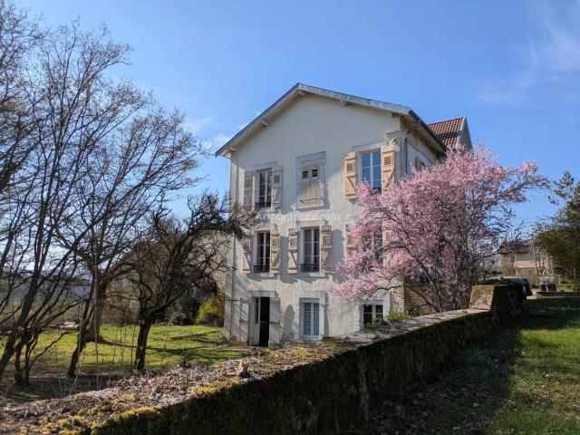 Neufchâteau Vente Maison 88