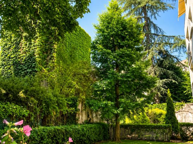 Neuilly sur Seine Vente Appartement 92