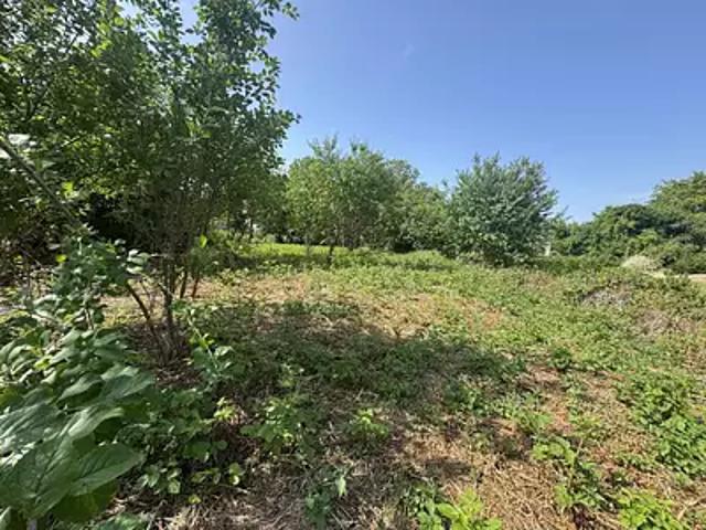 Neuilly Saint Front 02470 Achat / Vente terrain