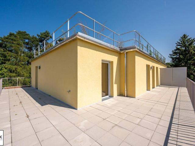 Neulengbach | Erstbezug | Miete | Haus 2 Top 9 | 3 Zimmer Dachgeschoß mit 48 m² Terrasse