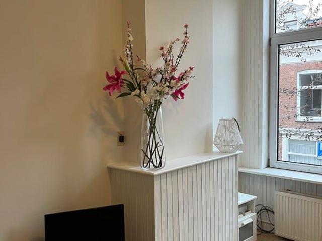 Newtonstraat 2562KV Den Haag