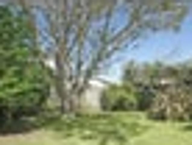 Newtown, 4 bedrooms, $790 pw