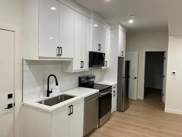 New 2 Bedroom Basement Suite INNER CITY