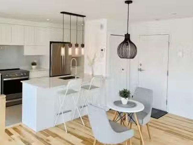 New 2 BR 1 2484 Rue Marie Anne E. Montréal Le Plateau Mont Ro.