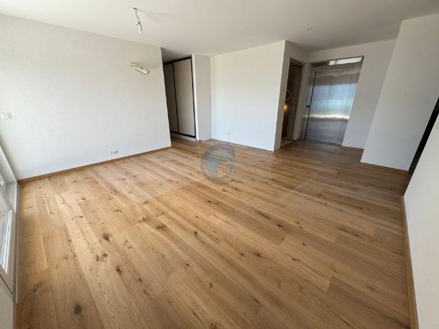 NEW 4.5 ROOM APARTMENT WITH PANORAMIC LAKE VIEW