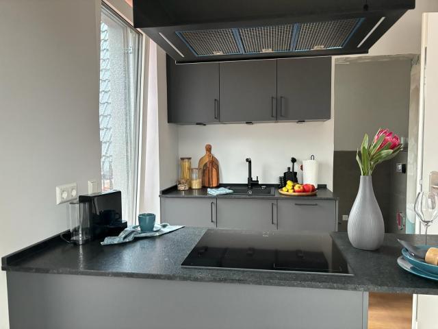 New construction / Lovingly furnished and tranquil penthouse