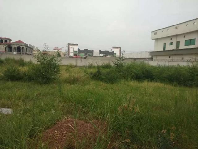 New city phase 2 me hy 2 kanal ka palat. Demand 350,00000 Wah ID 06988