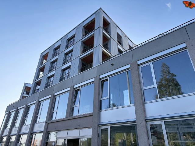 New apartment with 3.5 rooms for rent in Estavayer le Lac 79 m² | dreamo. Ch