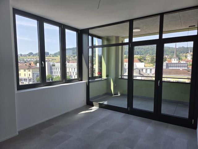 New apartment with 3 rooms for rent in Voco Areal, Weihermattpark Reinach 102 m² | dreamo. Ch