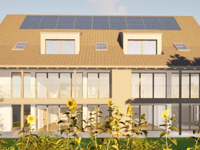 New apartment with 2.5 rooms for rent in Wil ZH 80 m² | dreamo. Ch
