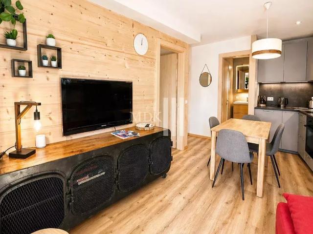New flat for rent 2.5 p in Champéry