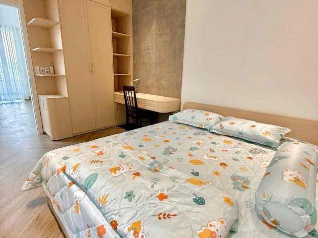 NEW HOUSE FOR RENT IN FPT AREA