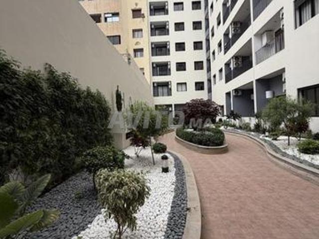 New living بلفدير