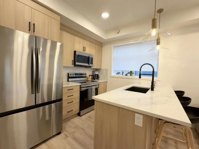 New Luxury 1 Bedroom Pet Friendly Condo + Workspace