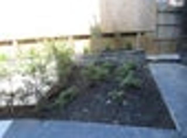 New Lynn, 3 bedrooms, $650 pw