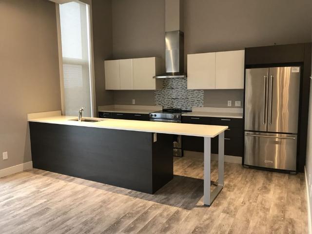 New Modern Luxury Condo in Willowgrove