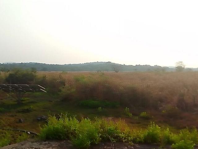 New Panvel, 1089 Sq.Ft. Plot in New Panvel Navi Mumbai Listing ID: #10295
