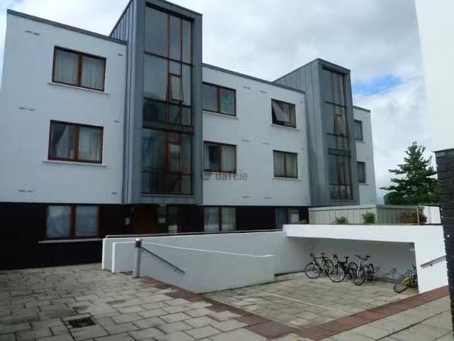 Just in! The Belfry Student Accommodation, 365 Collins Avenue.