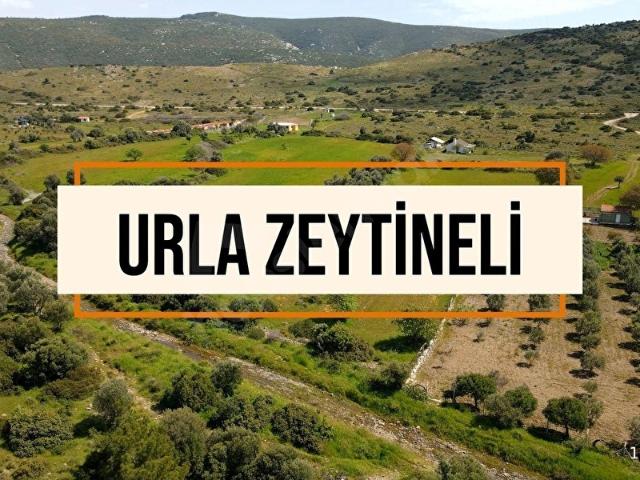 NEWER GLOBAL'DEN URLA ZEYTİNLİ'DE TEK TAPU YATIRIM FIRSATI