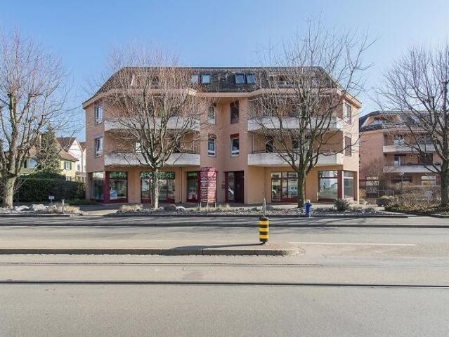 Newly renovated 2.5 room apartment