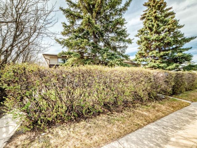 Newly Renovated 2 Bedroom, 1 Bathroom Suite RP078 2 Bedroom Home for Rent at 7705 41 Ave Nw, Calgary, AB T3B 1X7 Bowness