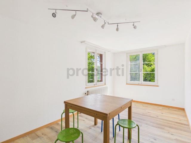 Newly renovated 4.5 room apartment with cellar, Amriswil