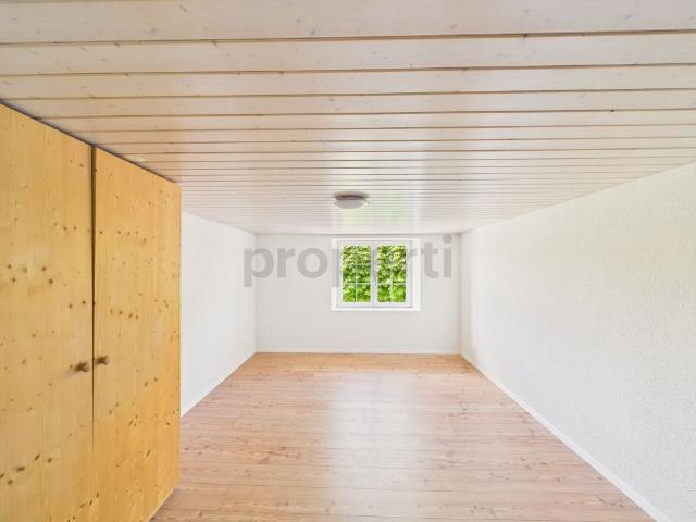 Newly renovated 5.5 room duplex with 175 m² of living space and a cozy garden seating area in Wädenswil