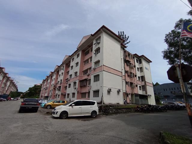 Newly Renovated Apartment Unit with New Electrical Appliances
